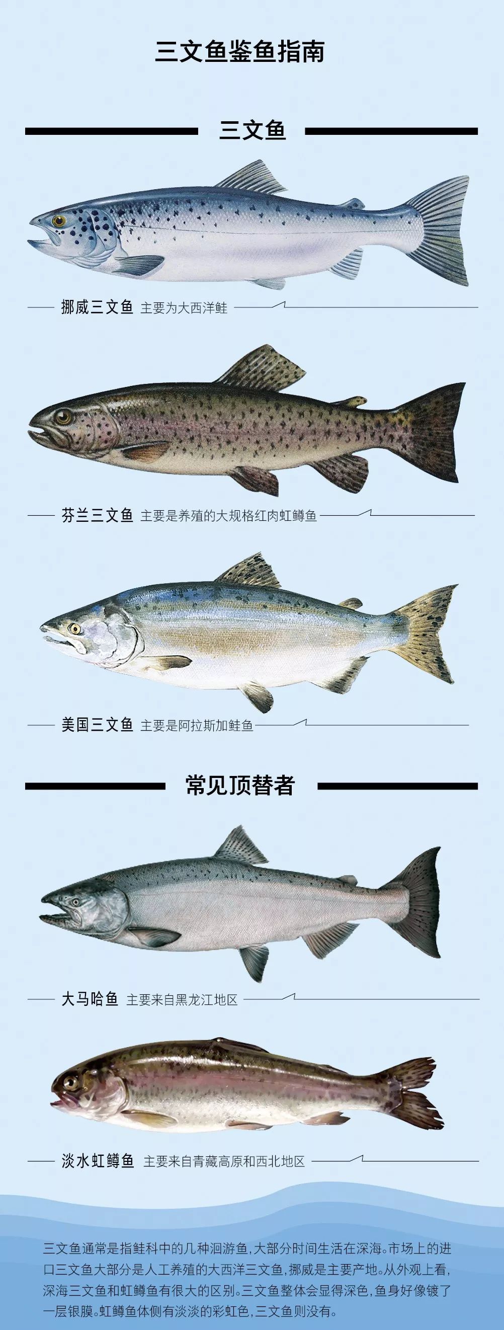 吃鱼套路深罗非鱼冒充鲷鱼虹鳟鱼冒充三文鱼巴沙鱼冒充龙利鱼油鱼冒充