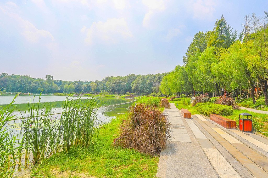 成都浣花溪公園你身邊的五星公園