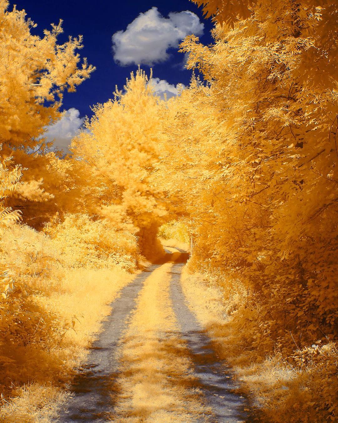 一组超美的初秋景色可以做高清壁纸