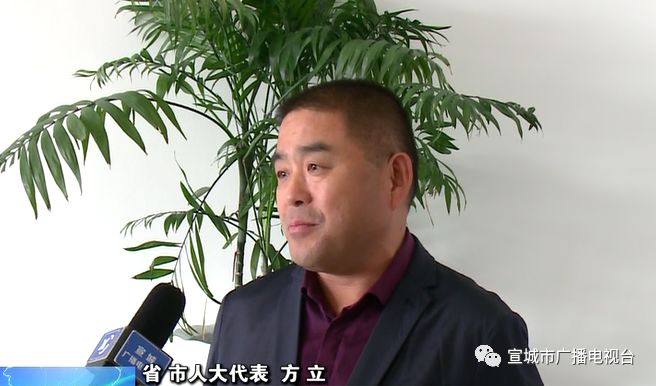 市人大召开"对标沪苏浙 争当排头兵"人大代表座谈会_宣城