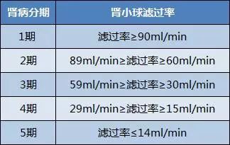 肾小球滤过率分期图片