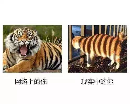 尺度网络vs图片