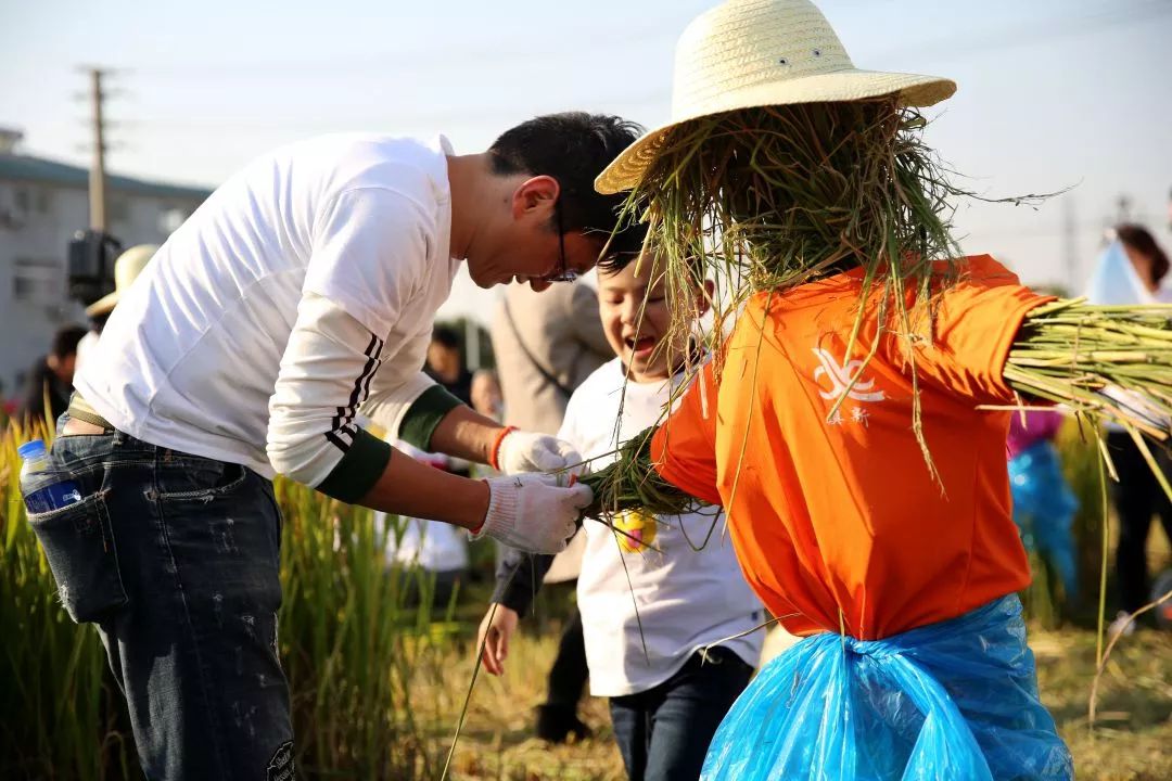 活動回顧七彩體育丨搶收稻穀diy稻草人小編帶你圍觀這場稻香田裡的農