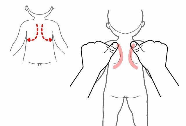 小儿推拿平肝清肺手法图片