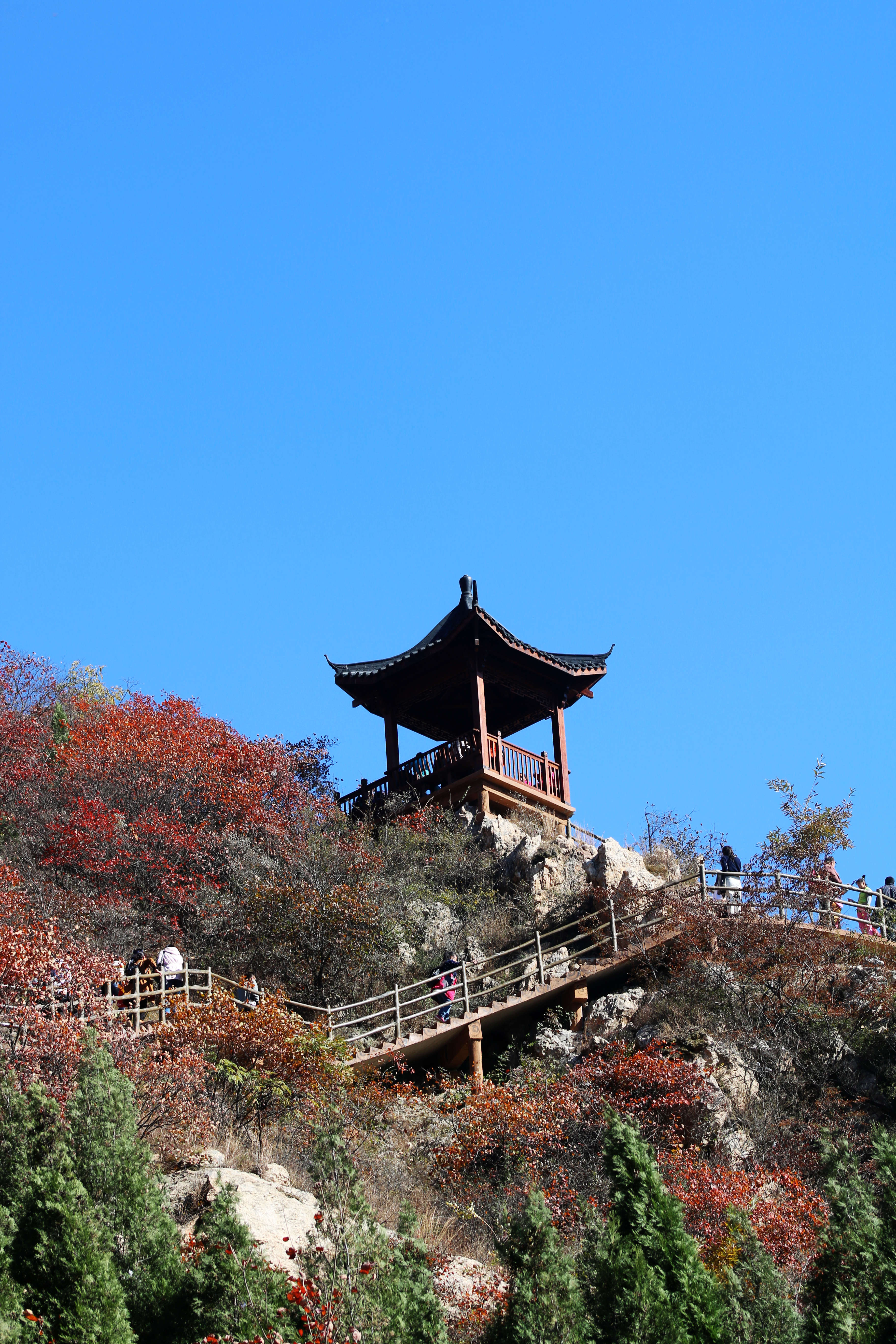 郑州周边这个小山,只需一小时车程就能看满山红叶