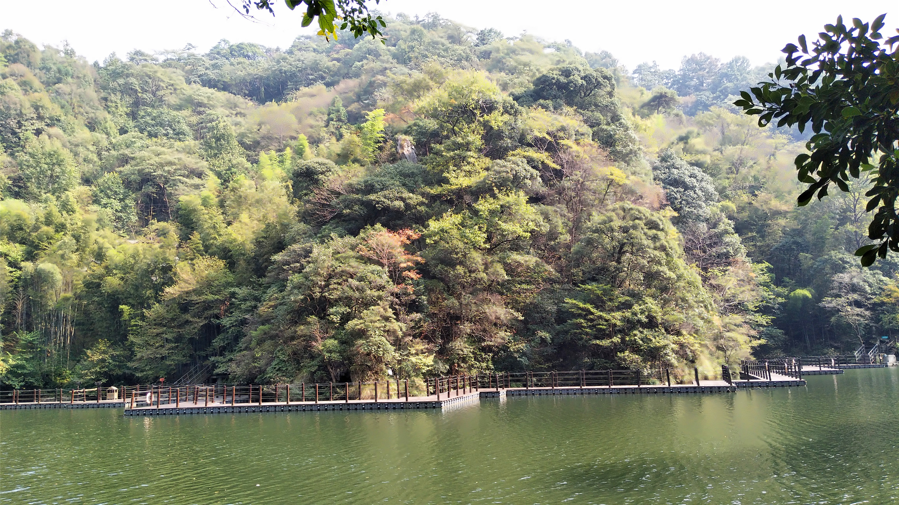 廬山黃山6日遊續牯牛降觀音堂景區