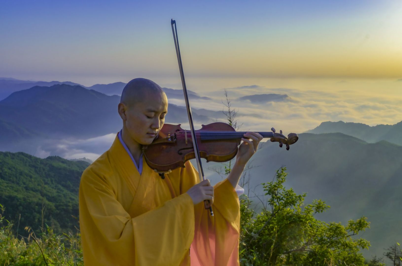 释悟乐禅师图片