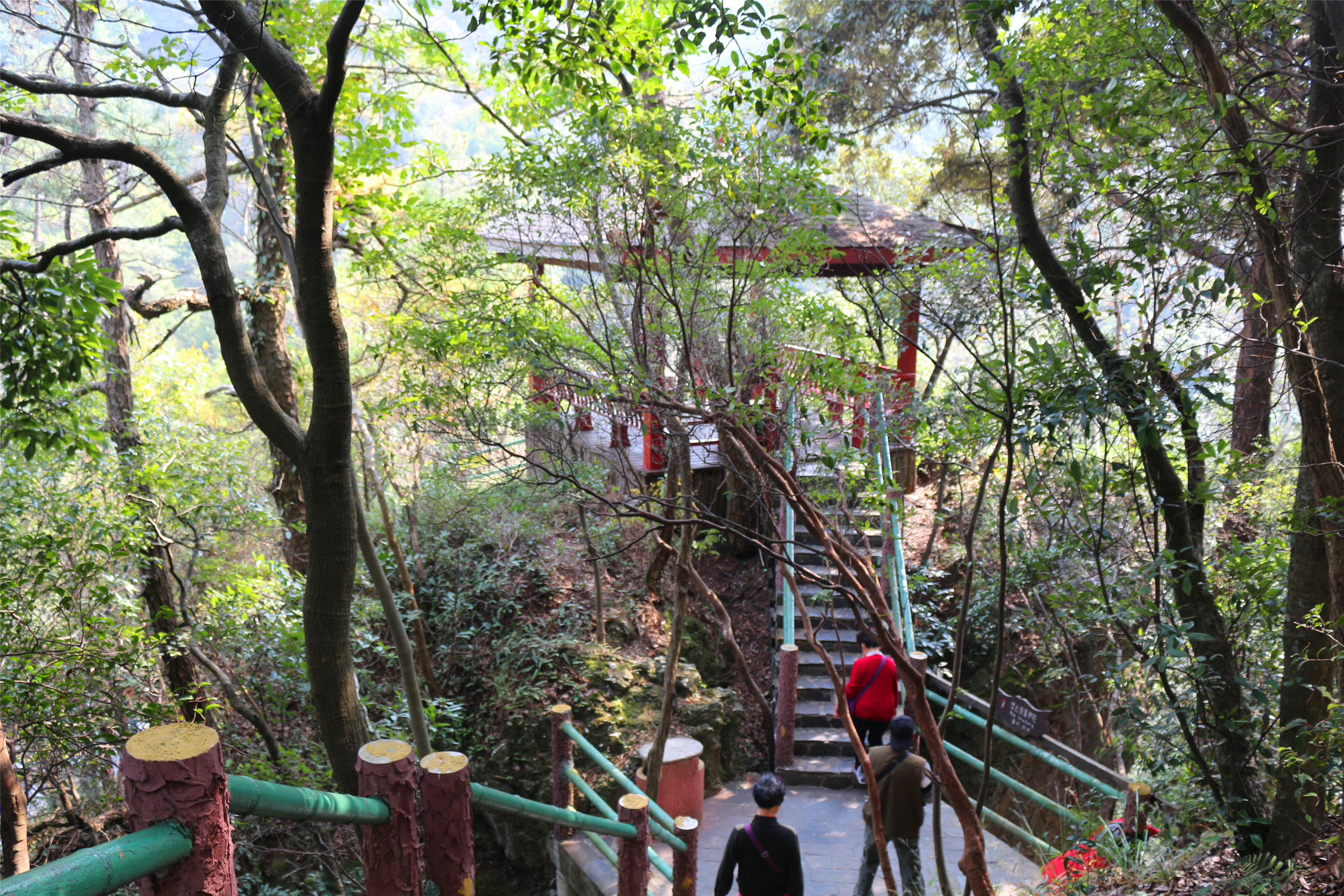 廬山黃山6日遊續牯牛降觀音堂景區