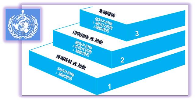 以优化镇痛效果,减少不良反应;而三阶梯镇痛主张采用「升阶梯」的给药