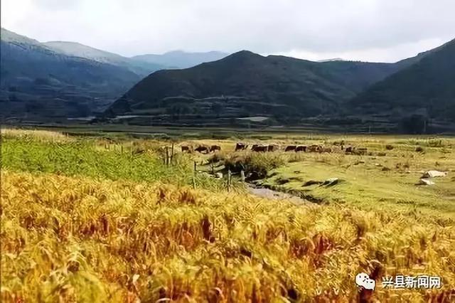 石樓山,石猴山,仙人洞景區興縣裴家川口古渡美景興縣境內高速興縣美景