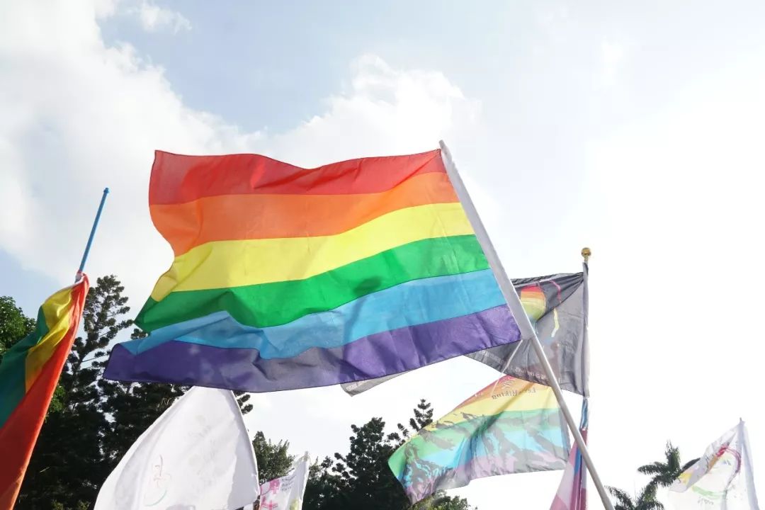随处可见的彩虹旗来彩虹游行的异性恋情侣也很多有人带狗来游行,有人