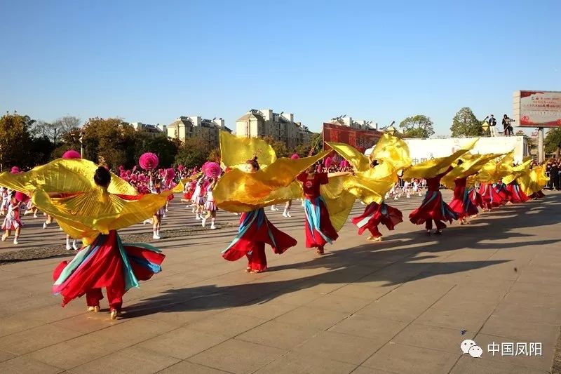 来源:郭如亮,张树虎,陈友田,王倩,韩延龙,韩鹏飞,盛辉,张金球,邱传斌