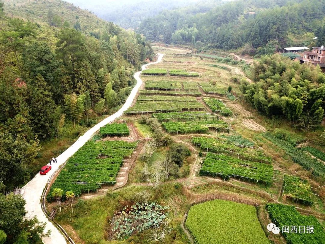 脱贫攻坚之窗丨长汀县向绿水青山要办法,这样点子脱贫路