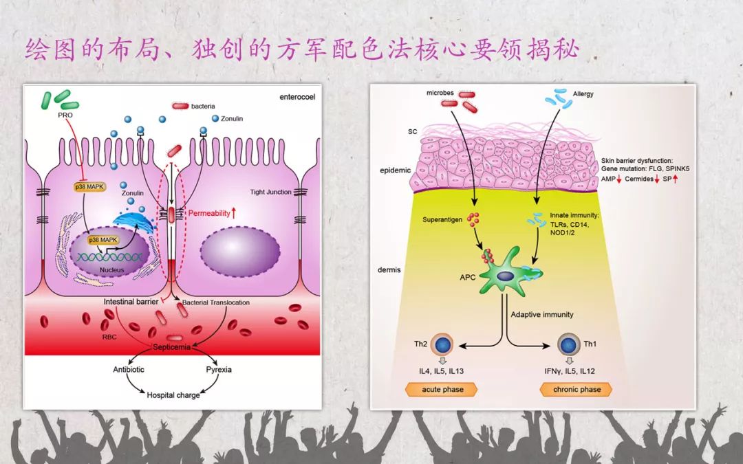 SCI插图规范化操作高级学习班 11月课程推荐