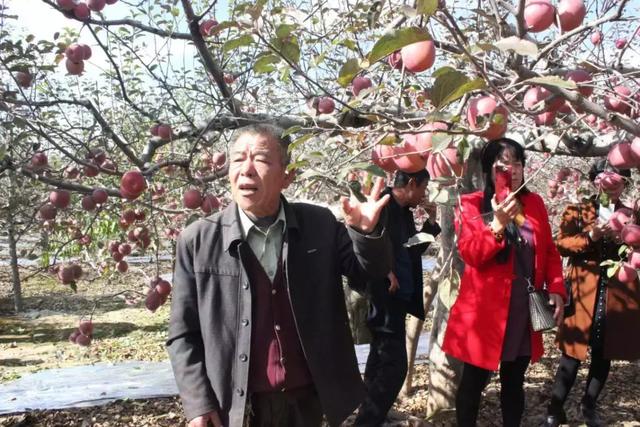 担心不套袋不合常理,但他一年前还是大胆地使用了宏保旺生物免疫膜