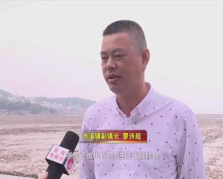 赤溪镇副镇长 廖诗超"养民证推出以后,进行产融结合,苍南农商行也给