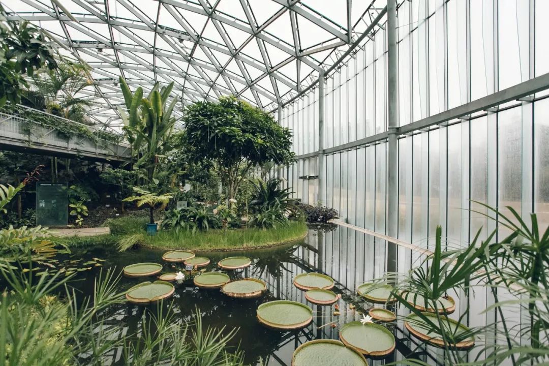 南京中山植物园温室图片