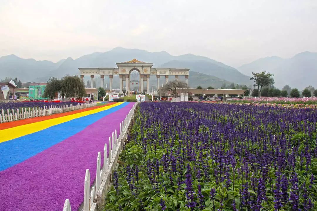 西安环山路花海图片