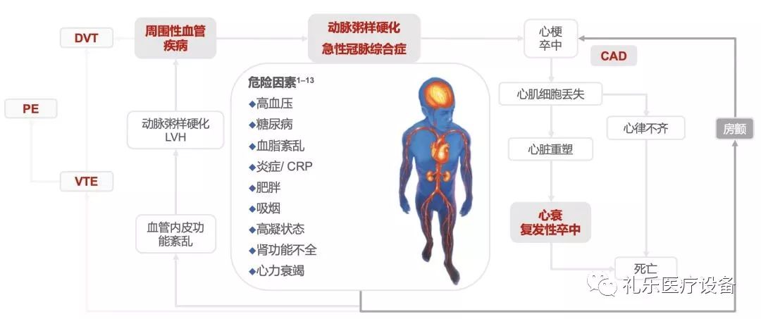 高润霖院士60的vte和住院相关肺栓塞是最具有代表性的可预防的致死性