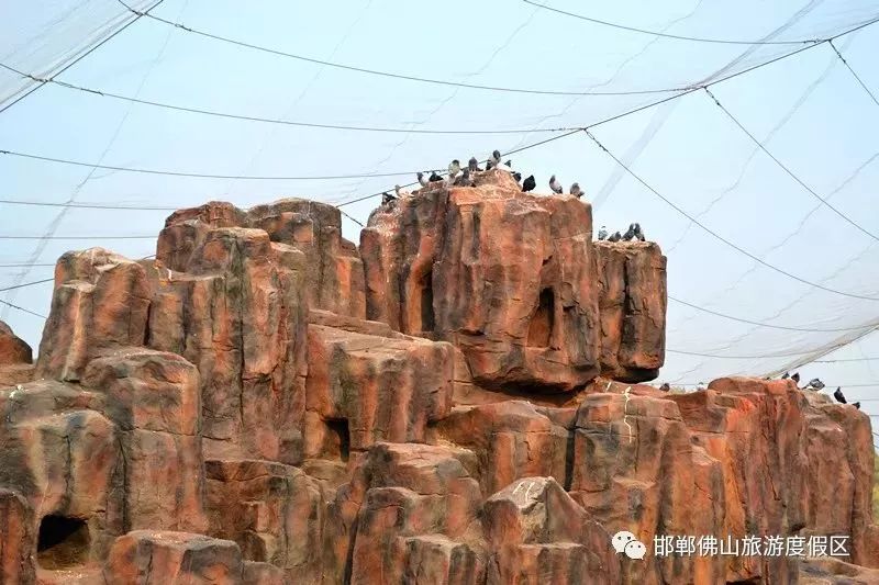 邯鄲動物園即將和大家見面!還有方特主題公園._佛山