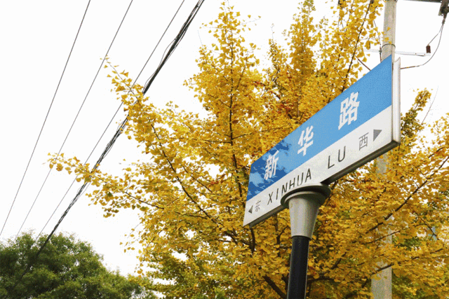 咱天水除了黄金大道,还有黄金中道,小道,小小道