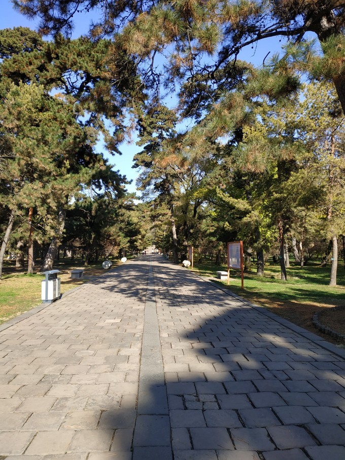 瀋陽一日遊_東陵公園