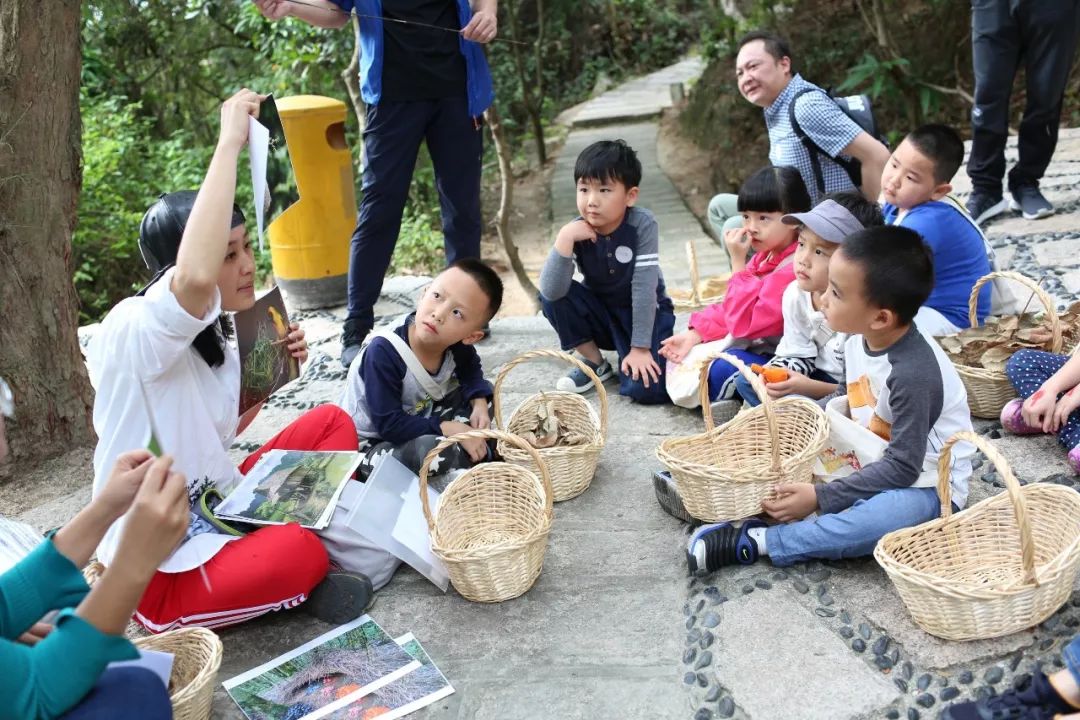 織布鳥築巢築一半時,會站在旁邊問它的