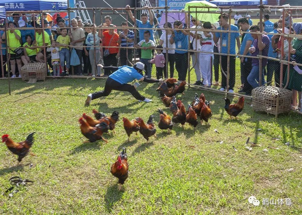 限时捉鸡比赛赶猪入圈比赛单车斗慢比赛拣豆比赛套鹅比赛"浑水摸鱼"