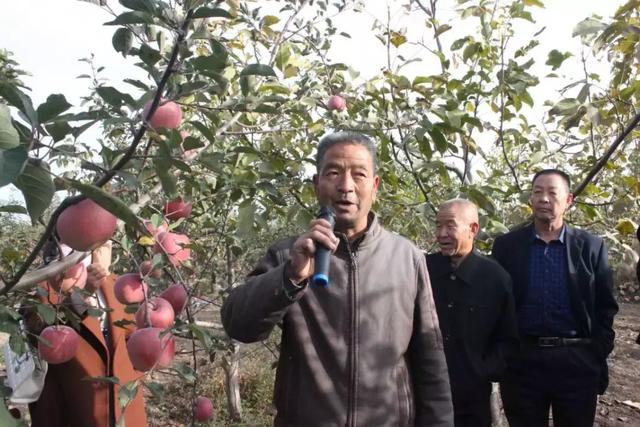 袋果病害多,果子不好销售,于是尝试着给几棵树喷施了宏保旺生物免疫膜