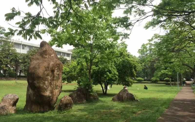 以詩入菜,以景入菜,他們把浙江師範大學的十景搬上餐桌