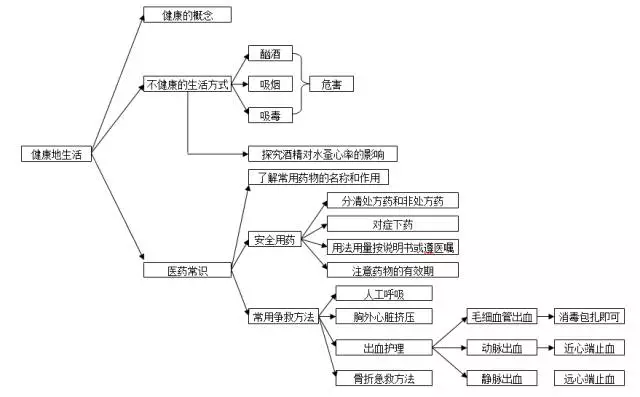 初中生物知識思維導圖10個專題掃清初中三年知識點中考有用