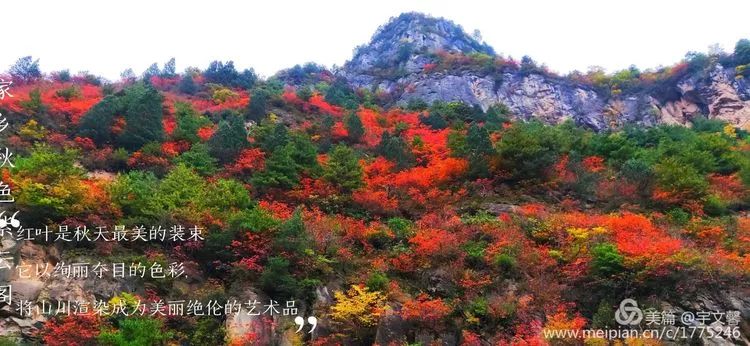 秋醉成縣黃渚萬山紅遍層林盡染簡直美爆了多圖