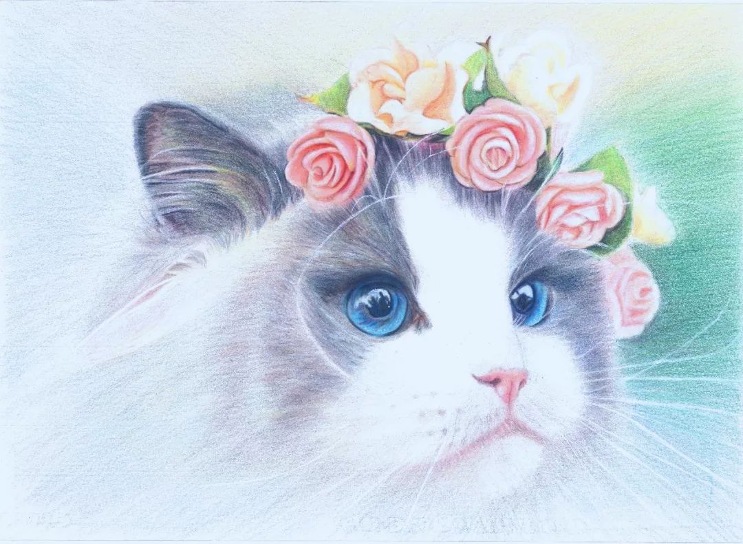 3分钟,教你学画一只让你一见钟情的公主猫