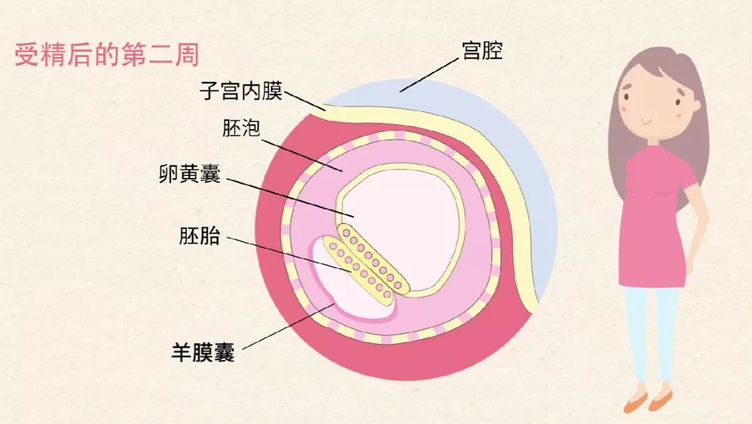 生物大师新生命的诞生美猴王横空出世