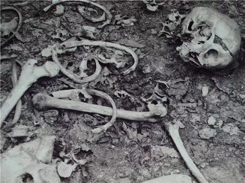 尸骨和附近遗留的物品与专案组《协查通报》上多处描述特征相吻合