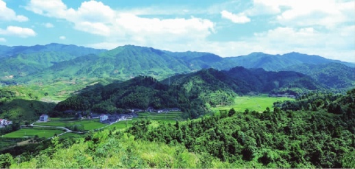 三湘激荡40年 麻阳苗族自治县 栉风沐雨著华章 建设