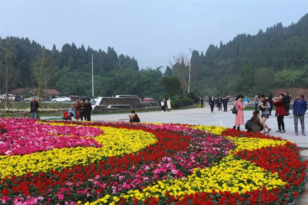 保利养生谷花卉公园图片