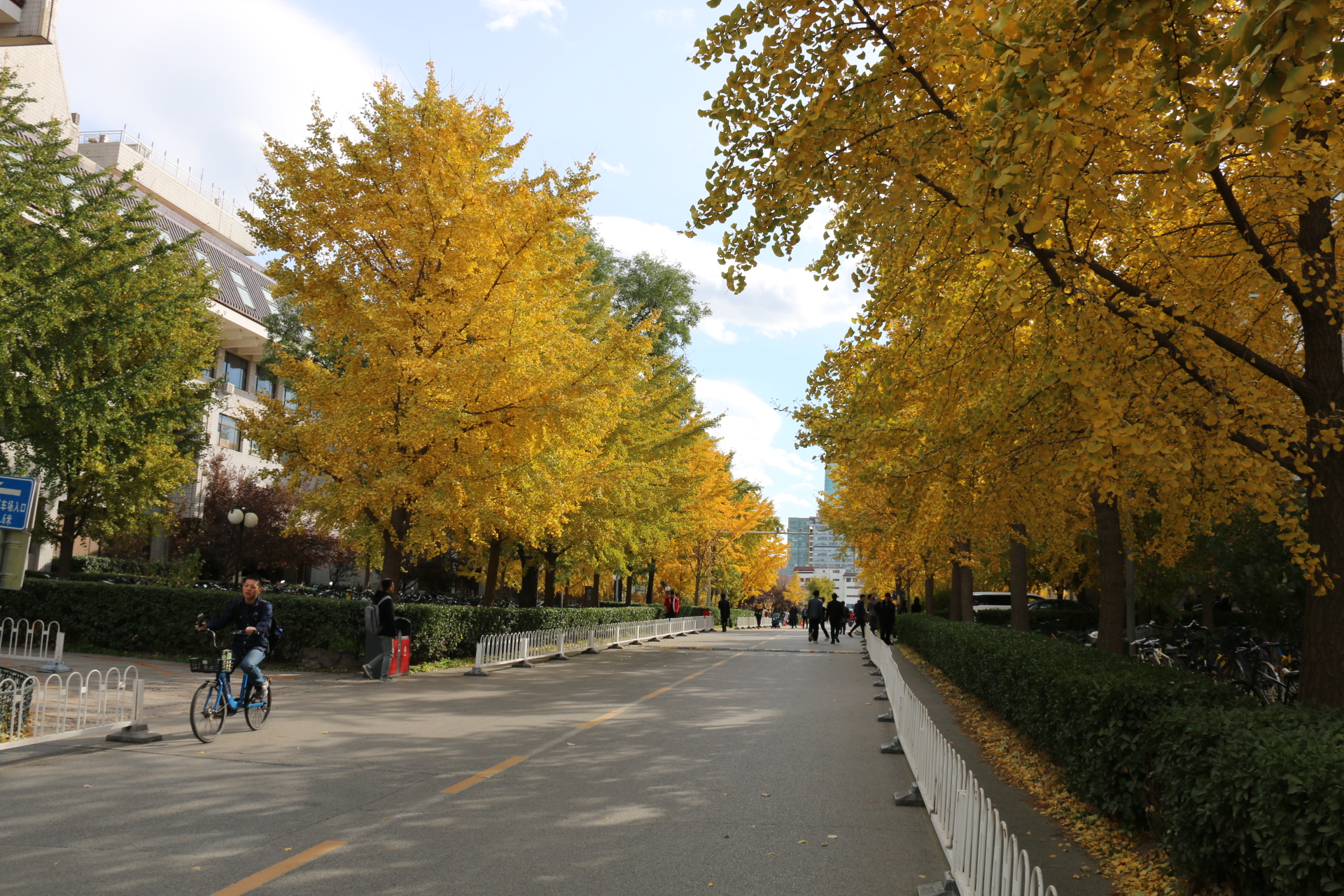 侧道路 未名湖东 西门广场 西门石桥 博雅塔,未名湖 大雅堂 湖边小路