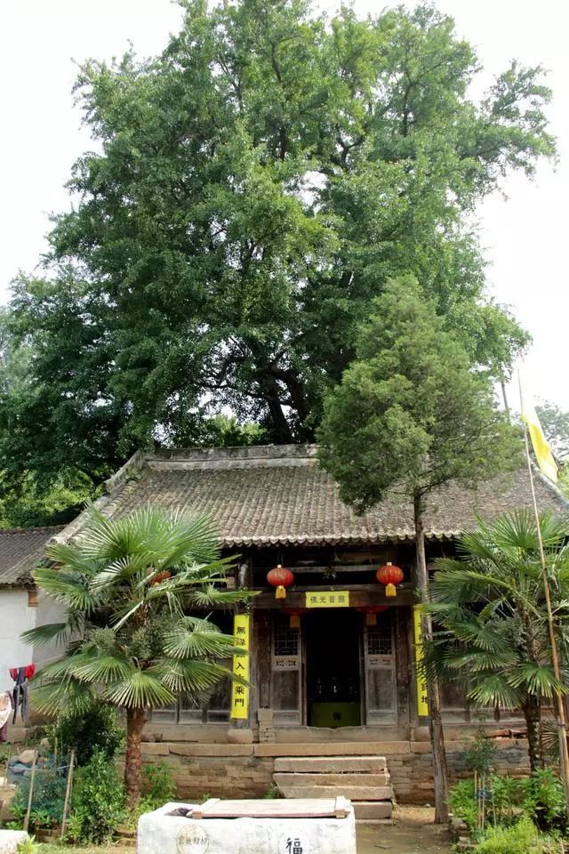 千年古銀杏林 下寺村 雲巖寺 行攝2日自由行398元/人(一價全含)_牛山