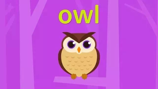 that's a owl-那是一个猫头鹰.