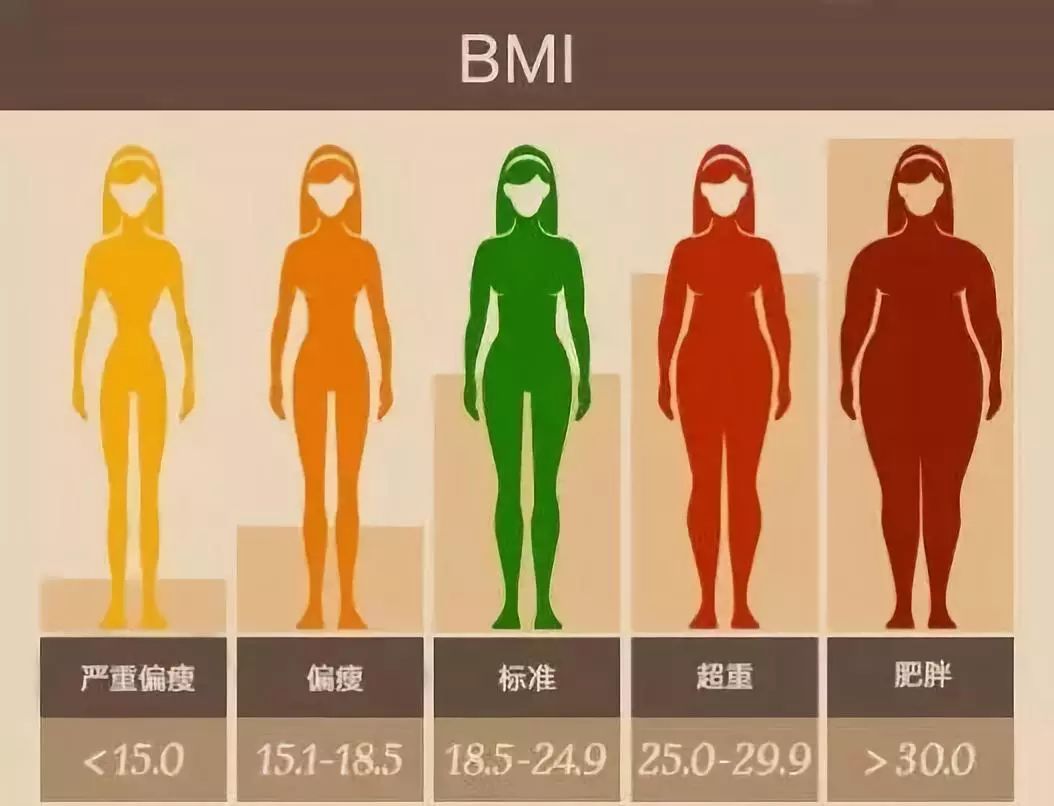 bmi指数标准男女图片