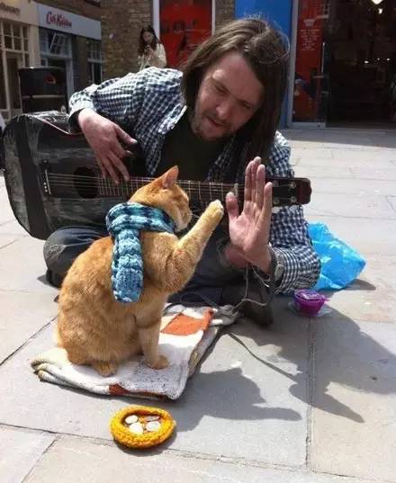 流浪猫鲍勃真实主人图片