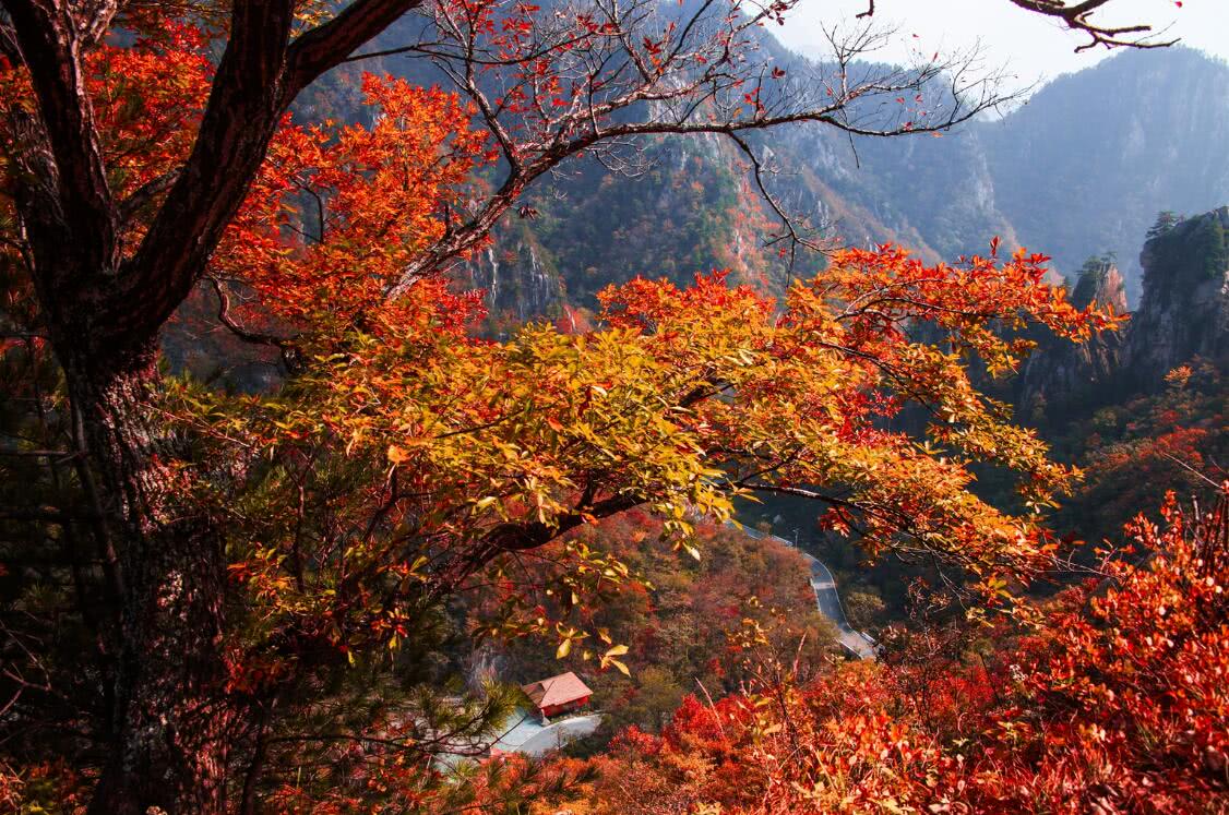 11月出遊個性推薦漫山紅葉丈量秋景你想要的這裡全部都有