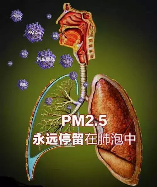 18亿儿童每天都在呼吸脏空气吸入的pm25超乎你的想象