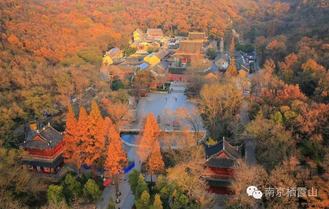 11月3-4日(週末)南京棲霞山紅葉之旅