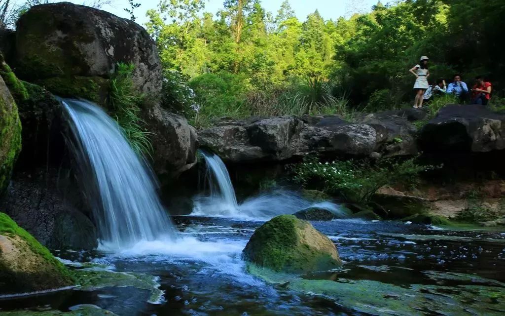 廉江石角一个风景独特的森林公园,美得犹如世外桃源!