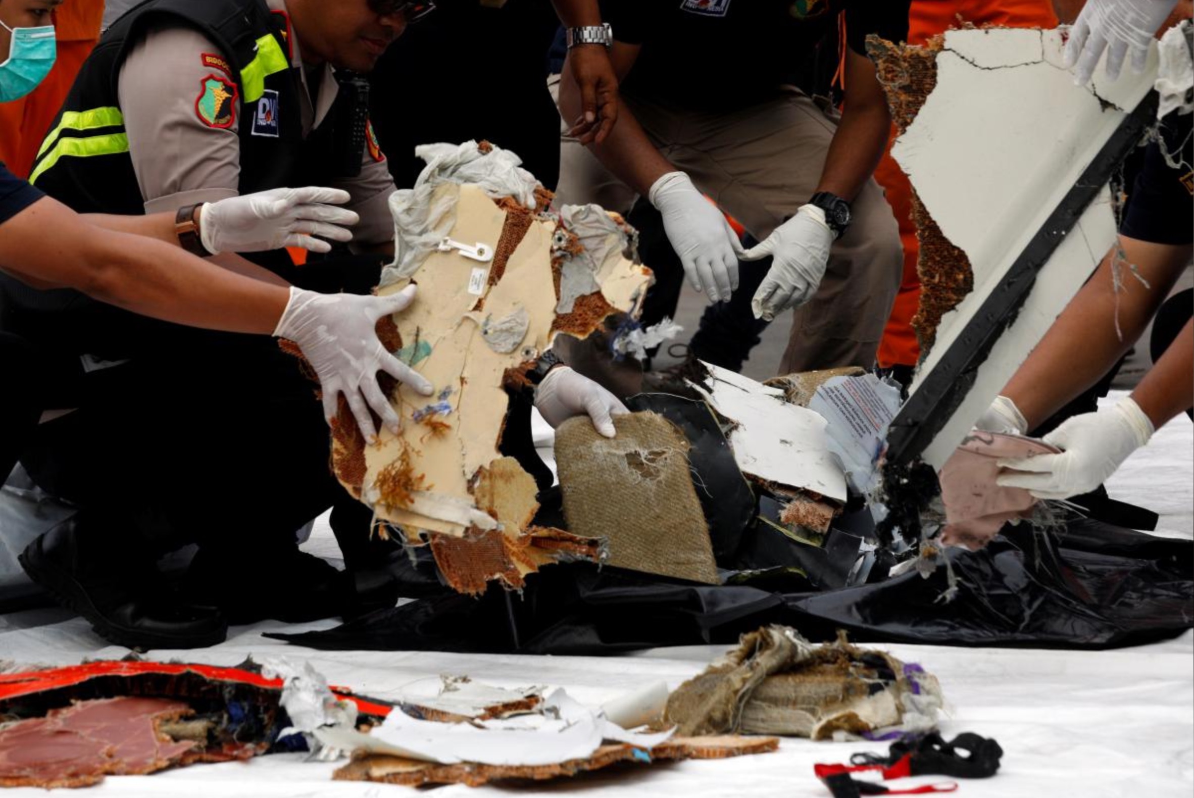 飞机坠毁人体组织碎片图片
