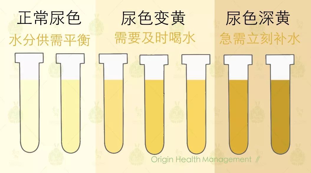 尿液正常颜色对照表图片