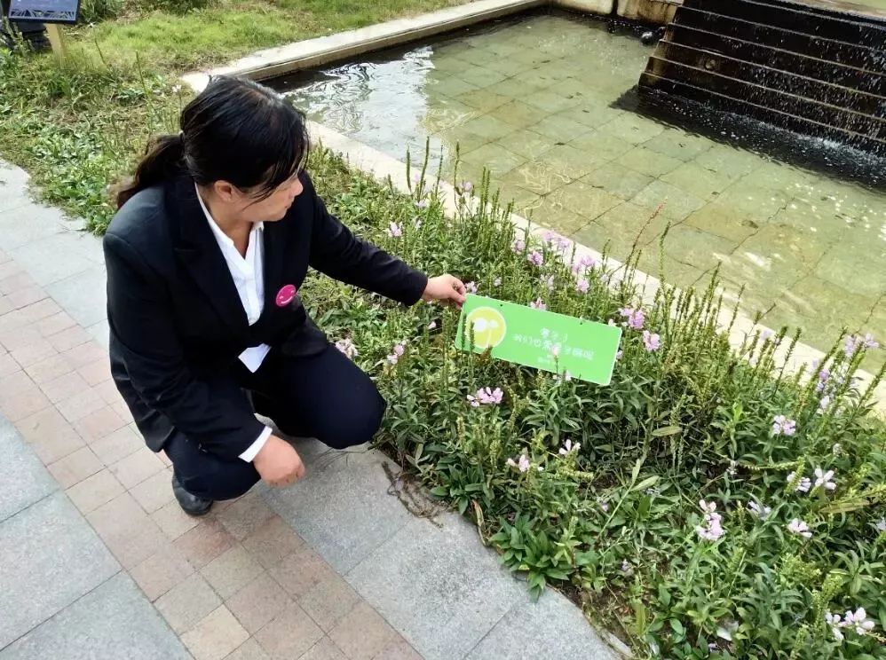 在單元大堂張貼海報,呼籲廣大業主積極踐行文明養犬公約,做合格的寵物