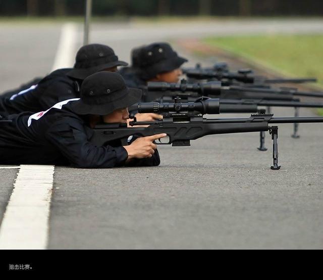 中国高精度狙击步枪图片